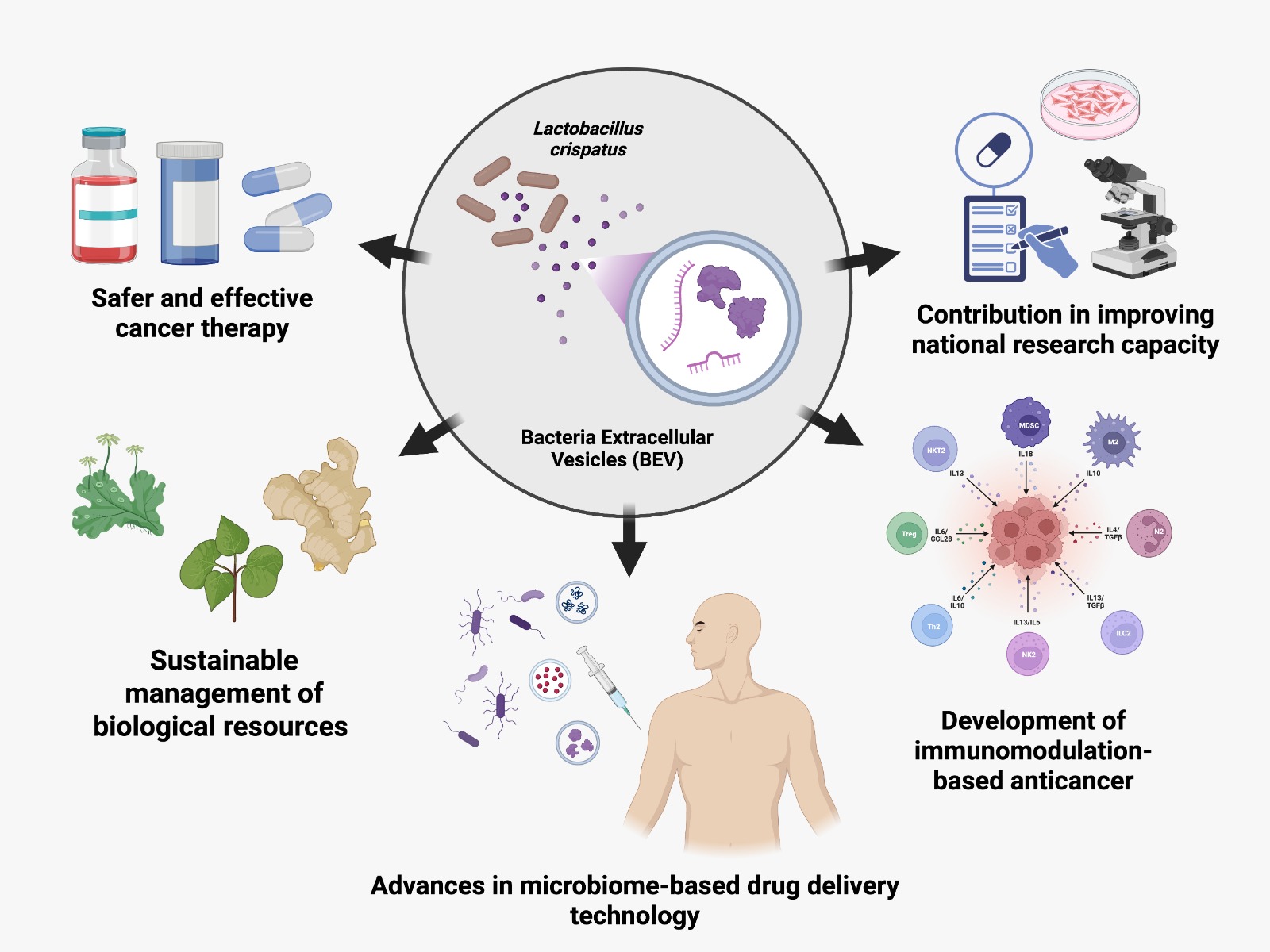 Nanomedicine
