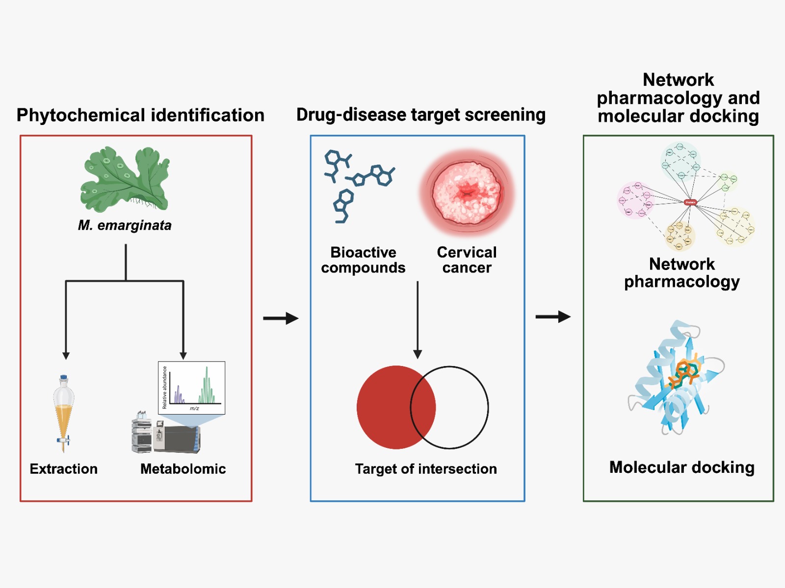 Phytochemical Innovation